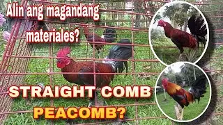 Alin ang magandang Materiales? STRAIGHT COMB O PEACOMB?