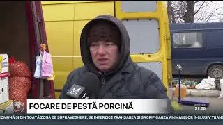 Satul Răzeni, în carantină, după ce a fost depistat un focar de pestă porcină. Ce spun localnicii