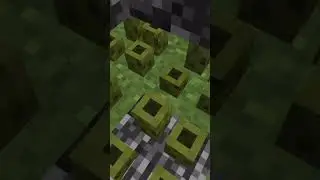 I have no justification for this one #minecraft #pridemonth #gaming #minecraftpuns