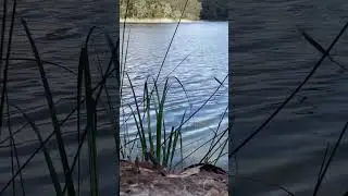Isolated Crocodile Infested River In An Australian Outback