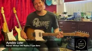 Eternal Guitars: 