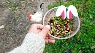 &ldquo;A rooster and a hen having a meeting in the morning.&rdquo;