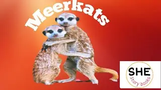 Kids story books Read Aloud.... MEERKATS.by Emma Lynch. SHE story books....story time fun time....