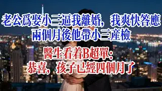 老公為娶小三逼我離婚，我爽快答應，兩個月後他帶小三產檢，醫生看著B超單：恭喜，孩子已經四個月了#故事頻道 #爱情故事 #情感故事 #婚姻 #出軌 #小说