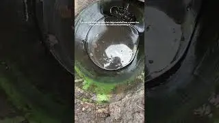 Shocking ! Gully installed over a surface water line. Can you spot where the camera is hitting it.