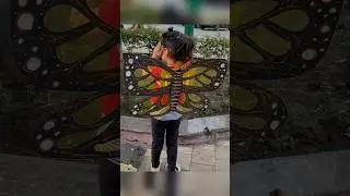 Exploring Mesmerizing Butterfly Wing Art Projects #shorts