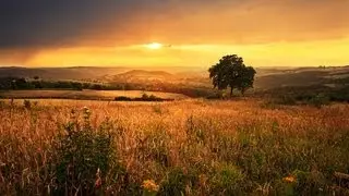 🔴📚Study Music : 1 Hour 30 Of Post-Rock Mix