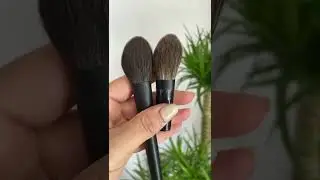 Luxury Makeup Blush Brushes Review