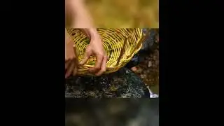 🌳 Alone in the Woods: Building a Secret Shelter Inside a Giant Tree Using Primitive Tools 🔥🏕️🪓