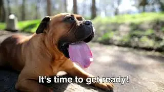 Summer AC Check Up - Mike's Heating & A/C Service