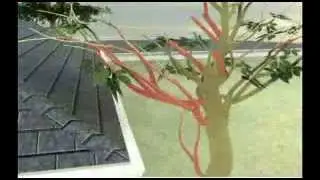 Cómo hacerlo -- Protección contra incendios forestales