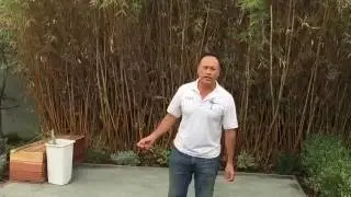 California Friendly Garden Elements