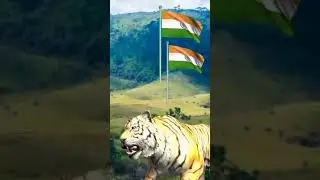 The India-Pakistan Border Power