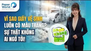 Vì Sao Giấy Vệ Sinh Luôn Có Màu Trắng? Sự Thật Không Ai Ngờ Tới!