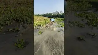 Amazing village nat ge fishing #fishing #fish