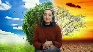 Il Colpevole