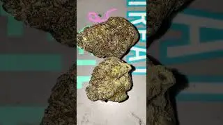 lemon Cherry poppers ⛽️🍃💨