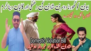 Domestic Violence Bill 2025 -2026 In Pakistan