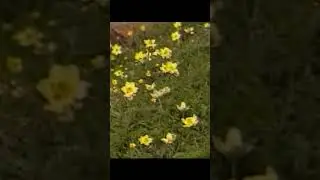Val Grande... come deve essere vissuta. buon 25 aprile