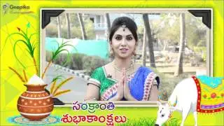 Sankranti Special Wishes