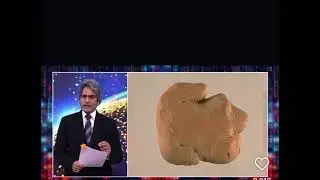 My favourite, our favourite #sudhirchaudhary  #news #saveanimals #savestreetdog  #savestrays 