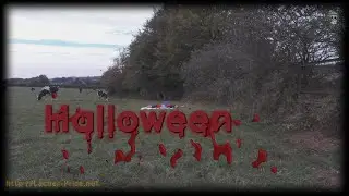 🌠Saison1 Ep 4 #Hallowen 𝐋𝐎𝐍𝐆 🅽🅾 🅲🅴🅽🆂🆄🆁🅴 🎀 L&acirc;cher-Prise 👫 ➰ #Shibuntu 🌸 #Shibari ⛩ #Kinbaku 🌈