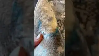 Турецкий ковер, тканый, плотный, современный. +9099035243 VARSI CARPET г. Москва.