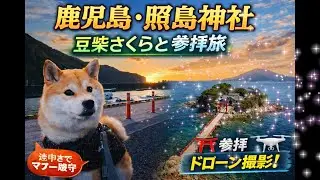 【鹿児島】照島神社を参拝｜豆柴さくらは途中まで🐕⛩️ドローン空撮が美しすぎた