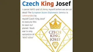 TO THE U.S. SECRETARY OF DEFENSE and European States Diplomatic Service