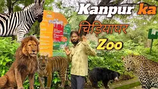 kanpur ka chidiyaghar। कानपुर का चिड़ियाघर।😛kanpur zoo। kanpur Zoological park #zoo @souravjvlogs