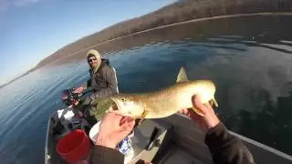 Lake Trout Attempt at Round Valley NJ Superbowl Sunday 2/7/16