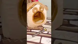 #Shitzu#onlineshopping #meesho #pets #doghouse 🤗🤩&hearts;️🐶