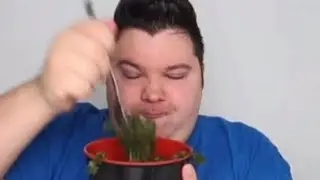 nikocado avocado out of context 2