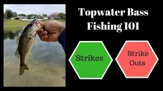 Topwater Bass Fishing 101 Blowups and Bust
