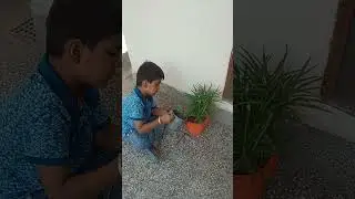 Happy Birthday to Saint Ram Rahim ji by #MegaTreePlantation#PlantATree              ❣️🥰🙏🪴🌿