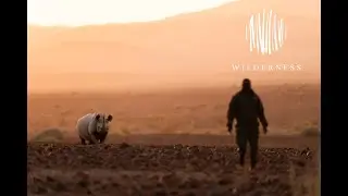 🦏 Desert Rhino Camp Namibia: Luxury in the Wild with Secrets VIP & Wilderness