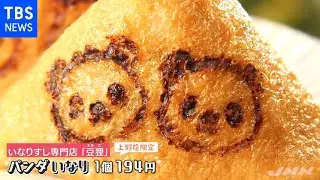 倍率３００倍超！上野の双子パンダ来週公開へ 地元も期待高まる【Nスタ】