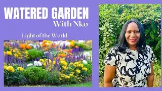 Light of the World | Watered Garden