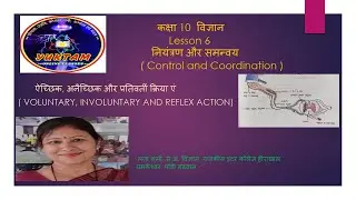 Class 10 Science | Control and Coordination | Voluntary, Involuntary & Reflex Actions | YUKTAM LIVE
