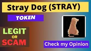 Is Stray Dog (STRAY) Token Legit or Scam ??