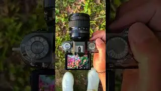 Fujifilm X-T50 and 16-50mm Lens Example Photos POV