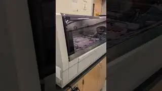 H&E hand stain