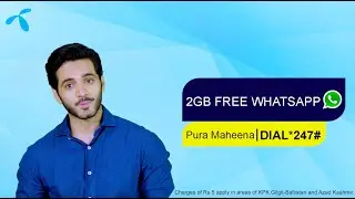 Free WhatsApp with Telenor