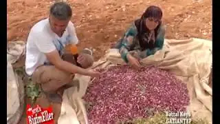Battal köyü 360. bölüm