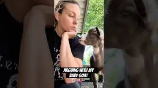Arguing with My Baby Goat Part 1 #babygoats #goats #pets #farmanimals #shorts