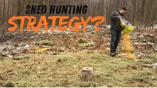 Why I&rsquo;m Feeding Deer After the Season (PA Shed Hunting Strategy)