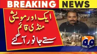 Karachi - Online payment facility in cattle market | Geo News