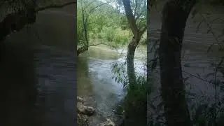 On the Orontes River