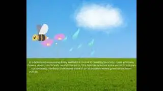 Sustainable Systems