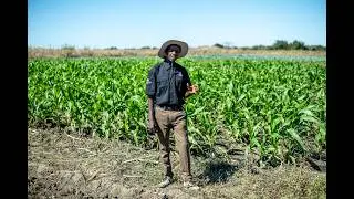 Stories of success: meet two farmers in Chibombo district, Zambia
